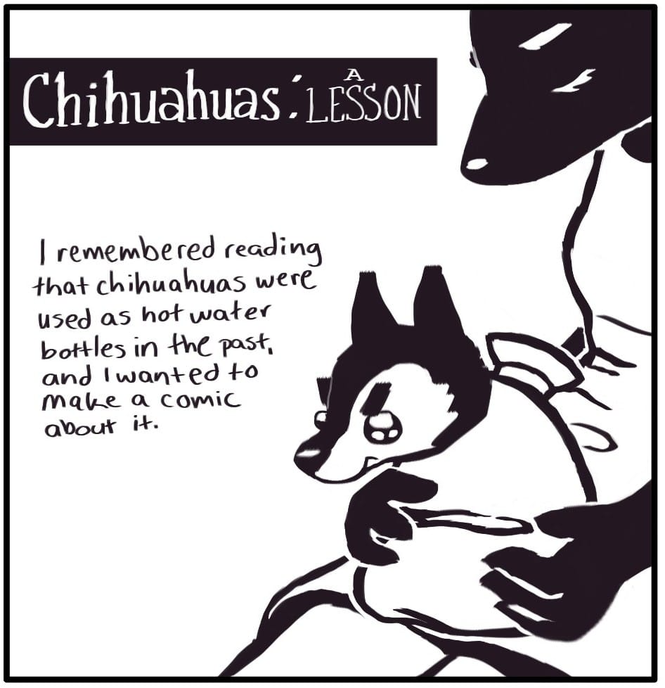 Panel 1: “I remembered reading that chihuahuas were used as hot water bottles in the past, and I wanted to make a comic about it.” There is a woman seated holding a small, angry dog with a hot water bottle for a body on her lap.