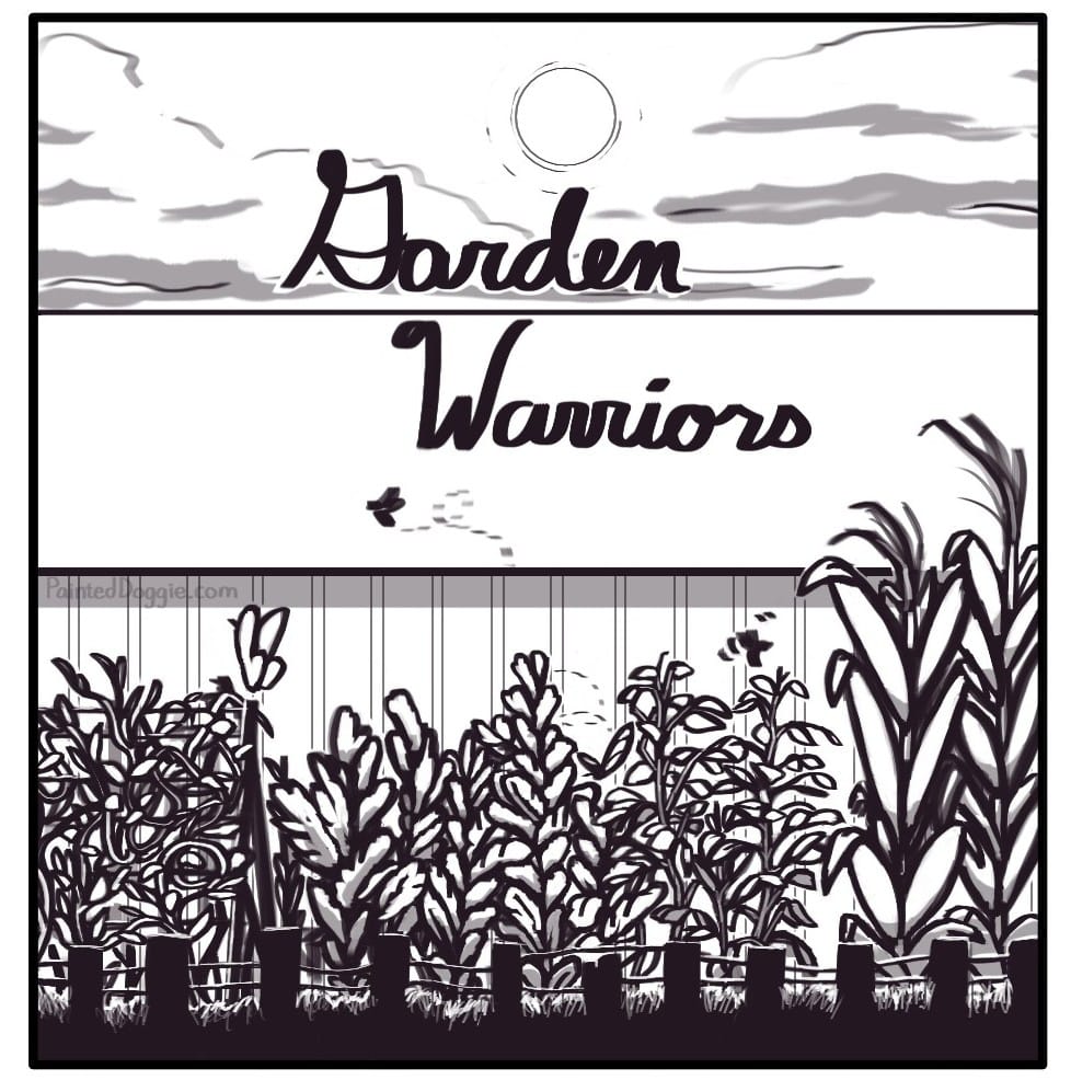 Panel 1:  The sun is shining through clouds over the roof of a building. In front of the building is a bustling garden behind a rickety fence. The garden contains vine plants climbing a trellis, bushy leafy greens, pepper plants, and cornstalks. Insects flutter and buzz through the foliage.