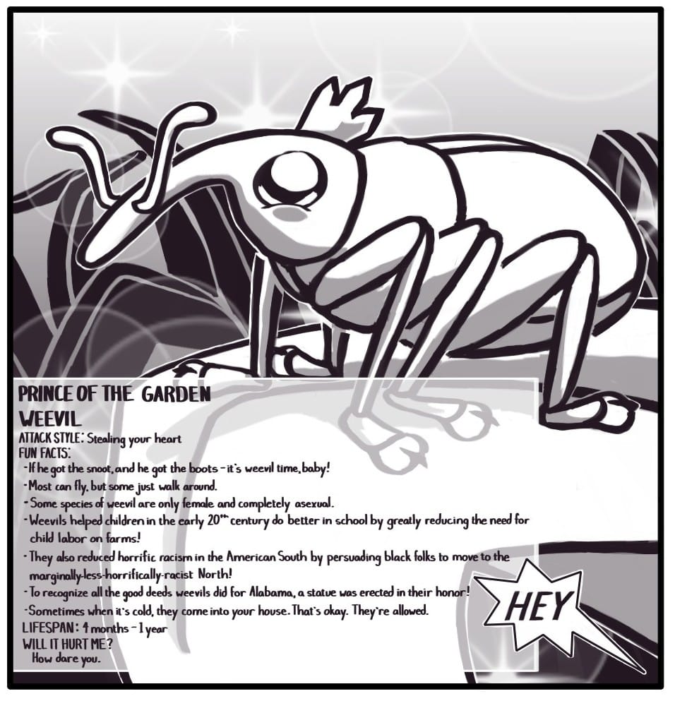 Panel 11: A weevil with rosy cheeks and a crown stands at the edge of a blade of grass as magical sparkles dance in the background. PRINCE OF THE GARDEN WEEVIL ATTACK STYLE: Stealing your heart FUN FACTS:  If he got the snoot, and he got the boots - it’s weevil time, baby!  Most can fly, but some just walk around.  Some species are only female and completely asexual.  Weevils helped children in the early 20th century do better in school by greatly reducing the need for child labor on farms!  They also reduced horrific racism in the American South by persuading black folks to move to the marginally-less-horrifically-racist North!  To recognize all the good deeds weevils did for Alabama, a statue was erected in their honor!  Sometimes when it’s cold, they come into your house. That’s okay. They’re allowed.         	LIFESPAN: 4 months – 1 year 	WILL IT HURT ME? 		How dare you.  From off screen, someone shouts, “HEY.”