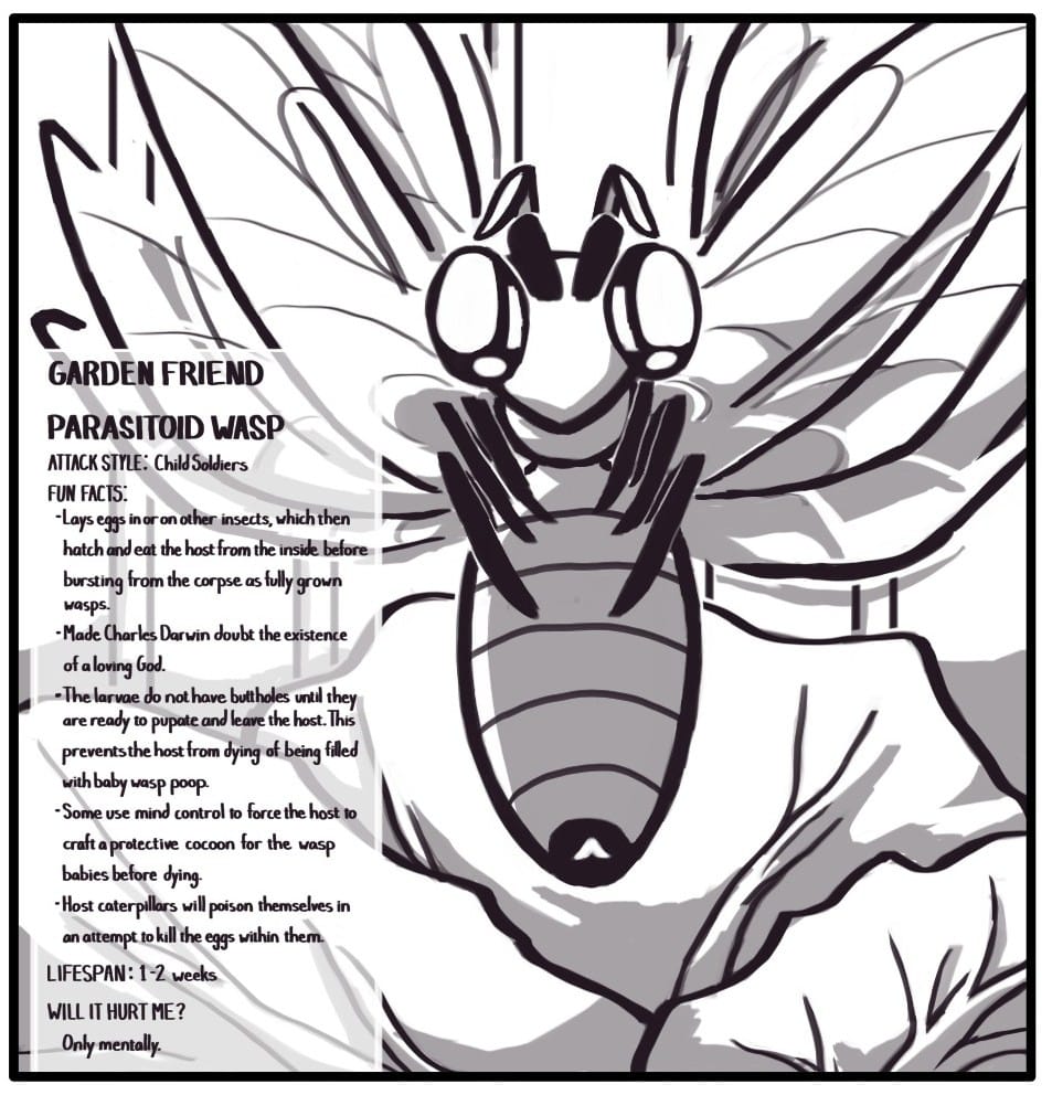 Panel 3: A wasp buzzes around above a cabbage. GARDEN FRIEND PARASITOID WASP ATTACK STYLE: Child Soldiers  FUN FACTS:  Lays eggs in or on other insects, which then hatch and eat the host from the inside before bursting from the corpse as fully grown wasps.   Made Charles Darwin doubt the existence of a loving god.  The larvae do not have buttholes until they are ready to pupate and leave the host. This prevents the host from dying too soon of being filled with baby wasp poop.  Some use mind control to force the host to craft a protective cocoon for the wasp babies before dying.  Host caterpillars will sometimes poison themselves in an attempt to kill the eggs within them.         	LIFE SPAN: 1 – 2 weeks         	WILL IT HURT ME?  Only mentally.