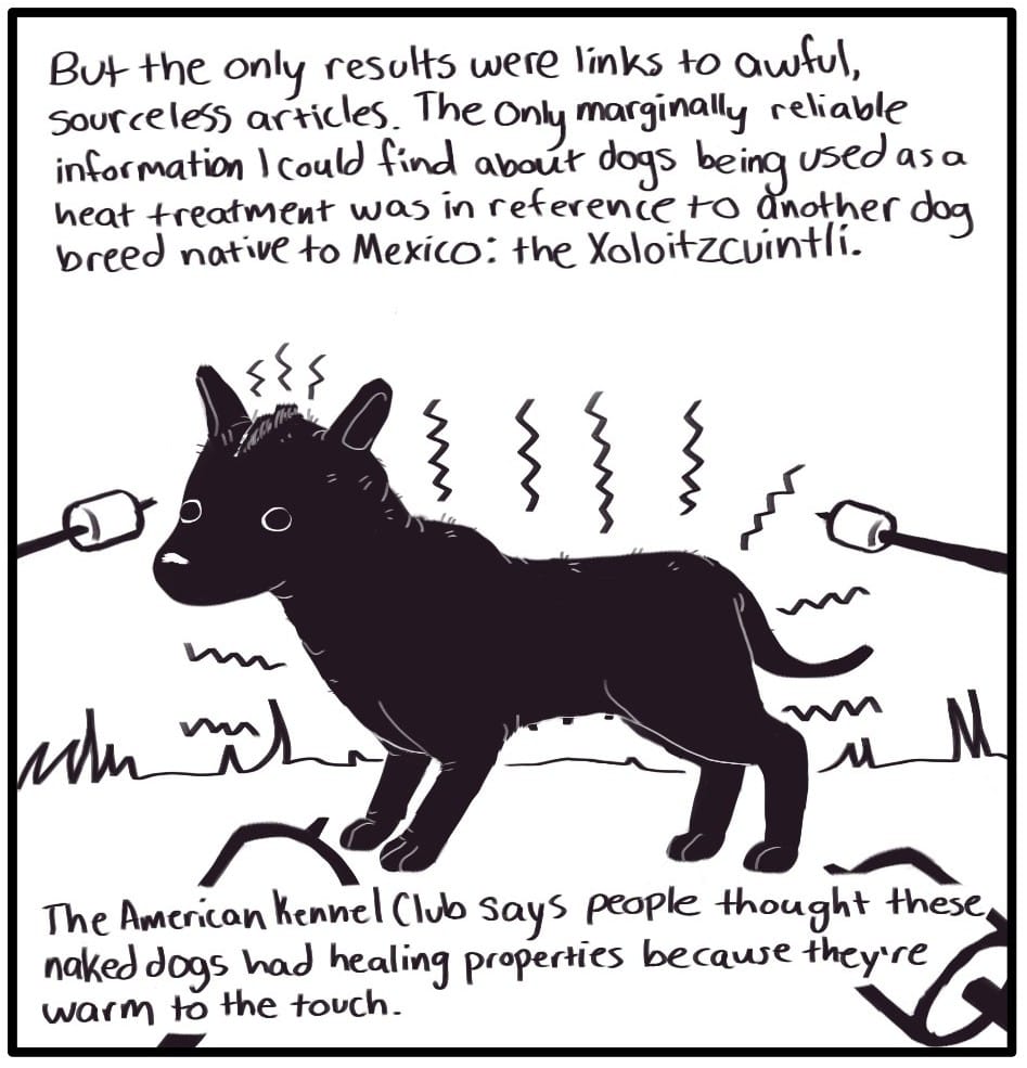 Panel 3: “But the only results were links to awful, sourcless articles. The only marginally reliable information I could find about dogs being used as a heat treatment was in reference to another dog breed native to Mexico: the Xoloitzcuintli… The American Kennel Club says people thought these naked dogs had healing properties because they’re warm to the touch.” There is a hairless dog with a tiny mohawk radiating heat surrounded by marshmallows on sticks being held out over the dogs warmth.