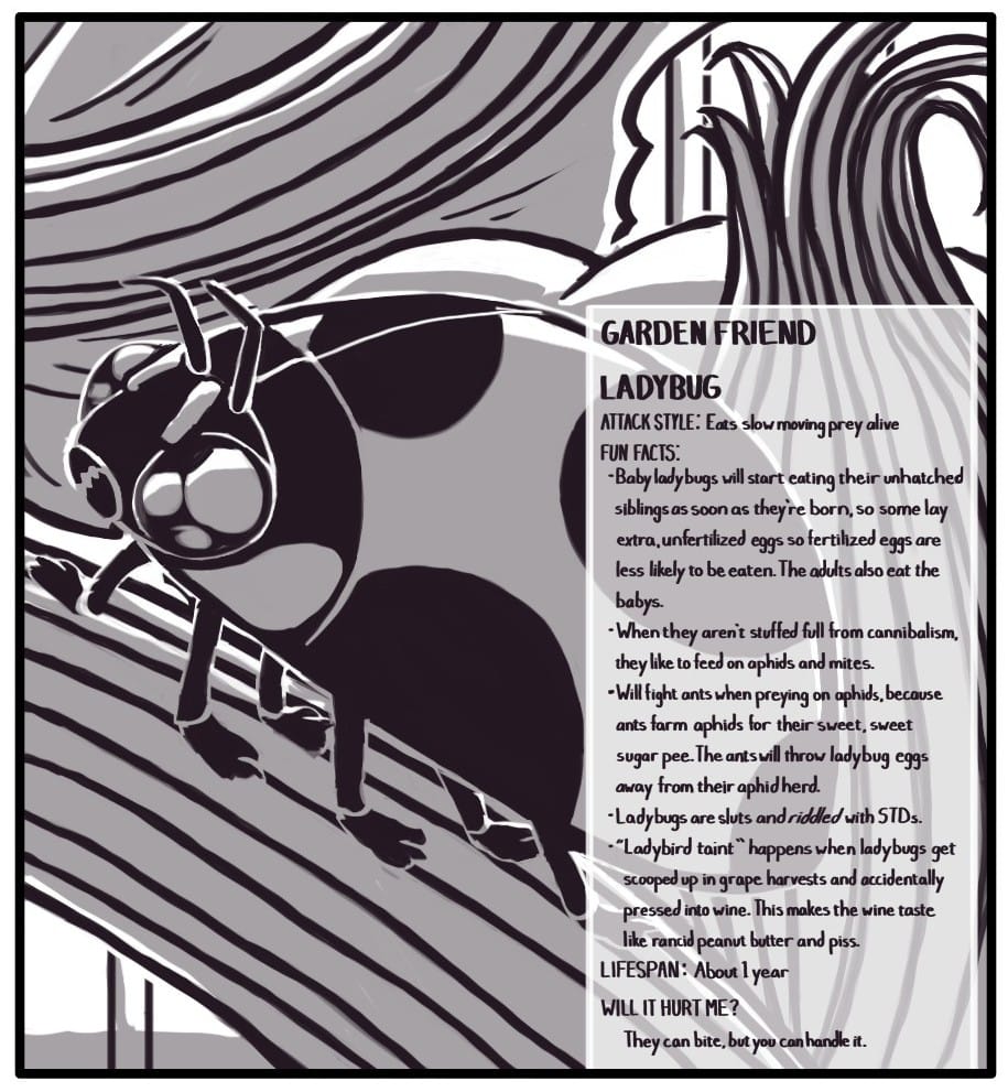 Panel 4: A ladybug crawls around in the shade on a plant stem. 	GARDEN FRIEND LADYBUG  ATTACK STYLE: Eats slow moving prey alive FUN FACTS:   Baby ladybugs will start eating their unhatched siblings as soon as they’re born, so some lay extra, unfertilized eggs so fertilized eggs are less likely to be eaten. The adults also eat all the babies.  When they aren't stuffed full from cannibalism, they like to feed on aphids and mites.  Will fight ants when preying on aphids, because ants farm aphids for their sweet, sweet sugar pee. The ants will throw ladybug eggs away from their aphid herd.  Ladybugs are sluts and riddled with STDs. “Ladybird taint” happens when ladybugs get scooped up into grape harvests and accidentally pressed into wine. This makes the wine taste like rancid peanut butter and piss.         	LIFE SPAN: About 1 year         	WILL THEY HURT ME?  They can bite, but you can handle it.