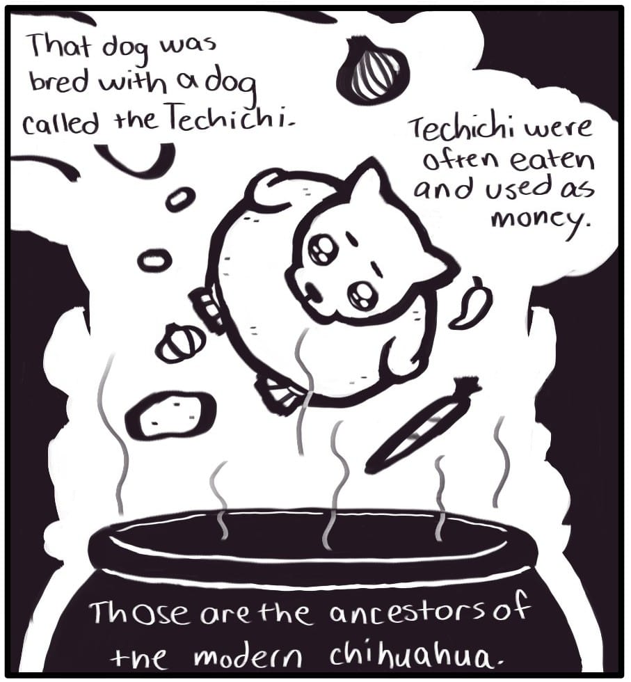 Panel 4: “That dog was bred with a dog called the Techichi. Techichi were often eaten and used as money… Those are the ancestors of the modern chihuahua.” A pot of stew steams and ingredients including carrots, potatoes, onions, chilis, garlic, beans and a round, fat dog with the body of a rotisserie chicken are being dropped into the pot.