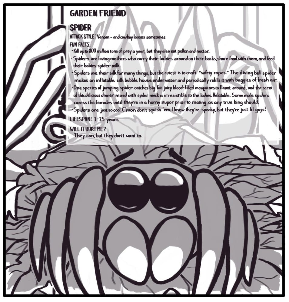 Panel 5: A worried looking jumping spider peaks out from beneath the leaf it’s hiding under. Beyond the leaf, a wolf spider stalks along looking for prey. GARDEN FRIEND SPIDER ATTACK STYLE: Venom - and cowboy lassos sometimes FUN FACTS:  Kill up to 800 million tons of prey per year, but they also eat pollen and nectar.  Spiders are loving mothers who carry their babies around on their backs, share food with them, and feed their babies spider milk.  Spiders use their silk for a bunch of stuff, but the cutest is to craft “safety ropes.” The diving bell spider makes an inflatable silk bubble house underwater and periodically refills it with baggies of fresh air. One species of jumping spider catches big fat juicy blood-filled mosquitoes to flaunt around, and the scent of this delicious dinner mixed with spider musk is irresistible to the ladies. Relatable. Some male spiders caress the females until they’re in a horny stupor prior to mating, as any true king should.  Spiders are just so cool. C’mon don’t squish ‘em. I know they’re spooky, but they’re just lil guys!         	LIFESPAN: 1 – 25 years         	WILL THEY HURT ME? They can but they don’t want to.